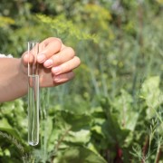 Hand holding test tube with water