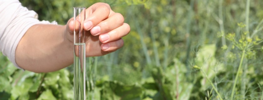 Hand holding test tube with water